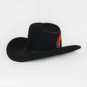 Texana Stetson Rancher 6X Black