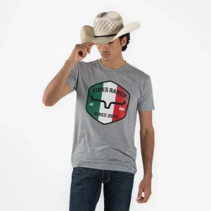 Playera Kimes Ranch Triple Stripe Dark Grey Heather Caballero